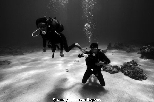 Gunners Point 7 m -black and white shot underwater Canon ... by Linley Jean-Yves Bignoux 